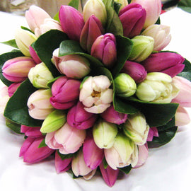 Volcanic Emotion Tulip