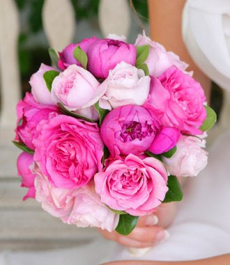 Sweet Blossom