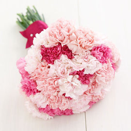Pink Lady
