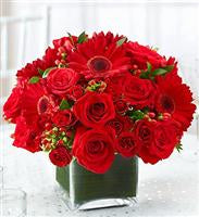 Crimson Kisses