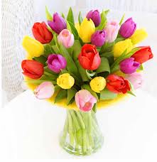 Brighten Your Day