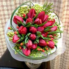 Tulip Fantasy