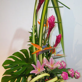 Tropical Delight